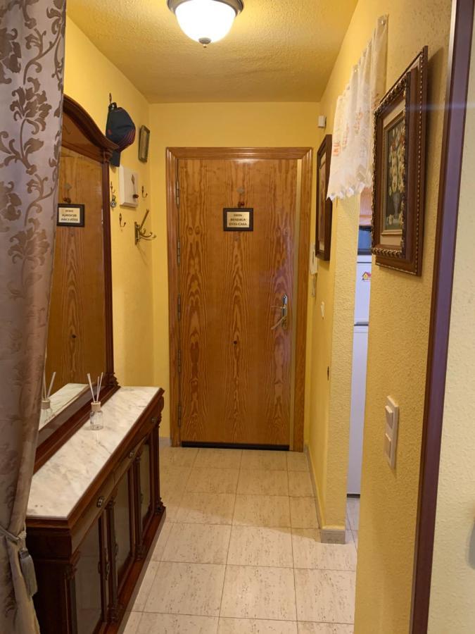 Apartament Montana 托雷维耶哈 外观 照片