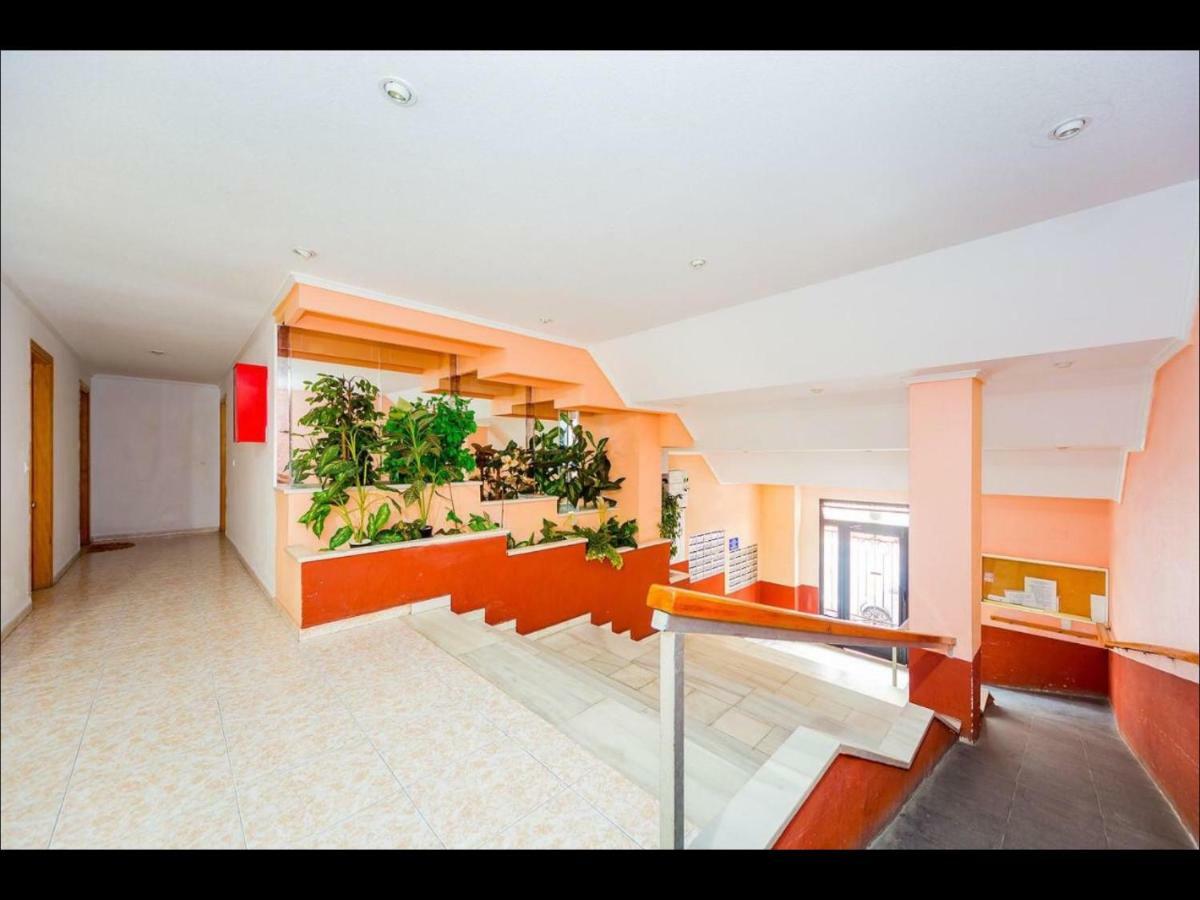 Apartament Montana 托雷维耶哈 外观 照片